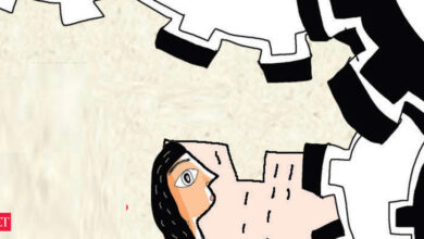 Patent applications by female innovators to get faster clearance: Draft rules