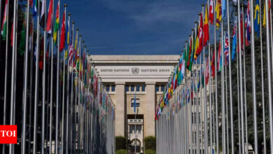 Women in Pachayati Raj institutions to take part in UN session | India News