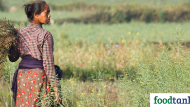 27 Inspiring Women Reshaping the Food System – Food Tank