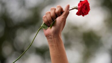 International Women’s Day protesters demand gender equality | Women’s Rights News