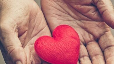 Ten women-led, not-for-profit organizations that could use your… – Women of Influence