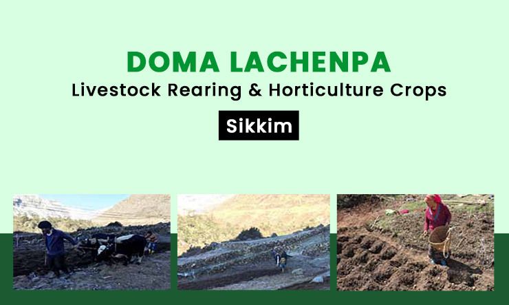  Doma Lachenpa