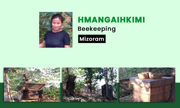 Hmangaihkimi