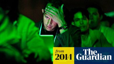 Women in tech: why female representation matters | Guardian sustainable business