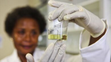 Despite progress, we still need to break down barriers facing women in science – The Mail & Guardian