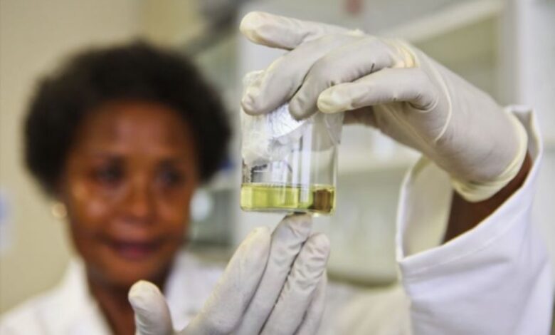Despite progress, we still need to break down barriers facing women in science – The Mail & Guardian Despite progress, we still need to break down barriers facing women in science – The Mail & Guardian