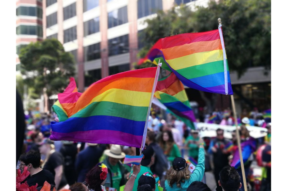Female-Led Organizations