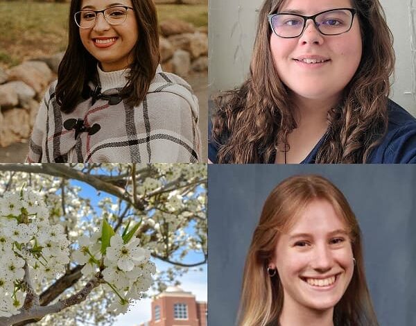 The challenge of gender bias: experiences of women pursuing careers in STEM The challenge of gender bias: experiences of women pursuing careers in STEM