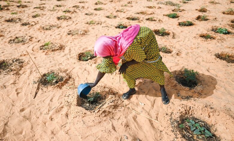 17 ways refugees are leading on sustainable development 17 ways refugees are leading on sustainable development
